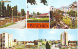 S 3837 Timisoara necirculata