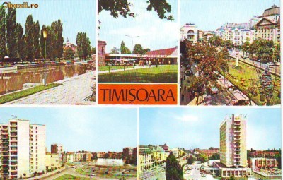 S 3837 Timisoara necirculata foto