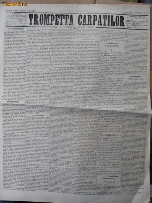 Ziarul Trompetta Carpatilor , nr. 1087 , 1873 foto