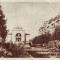 S 6264 Timisoara b-dul 30 Decembrie circulata