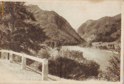 S 6282 Vedere Valea Oltului necirculata foto