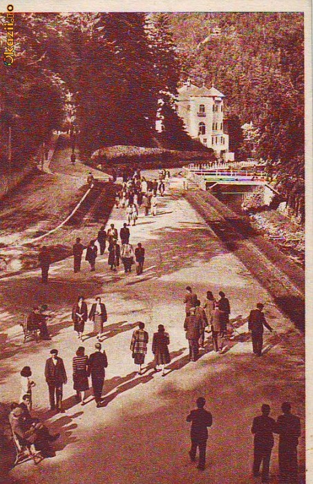 S 6287 Vedere necirculata