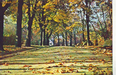S6074 BUCURESTI Parcul Libertatii 1975 foto