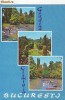 S6103 BUCURESTI Gradina Cismigiu CIRCULAT