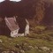 S 6404 MUNTII FAGARAS Cabana Podragu necirculata