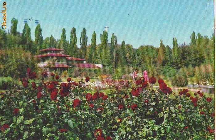 S6235 BUCURESTI Gradina botanica 1966