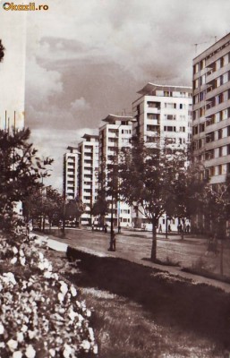 S6256 BUCURESTI B-dul Colescu 1965 foto