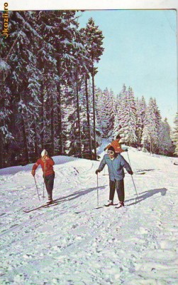 S 6449 Vedere PREDEAL lectii schi circulata foto S 6449 Vedere PREDEAL lectii schi circulata foto