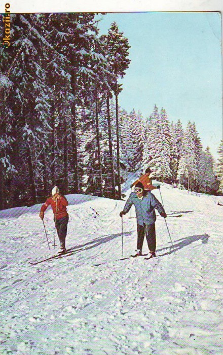 S 6449 Vedere PREDEAL lectii schi circulata S 6449 Vedere PREDEAL lectii schi circulata