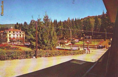 S 6479 Vedere SOVATA circulata foto