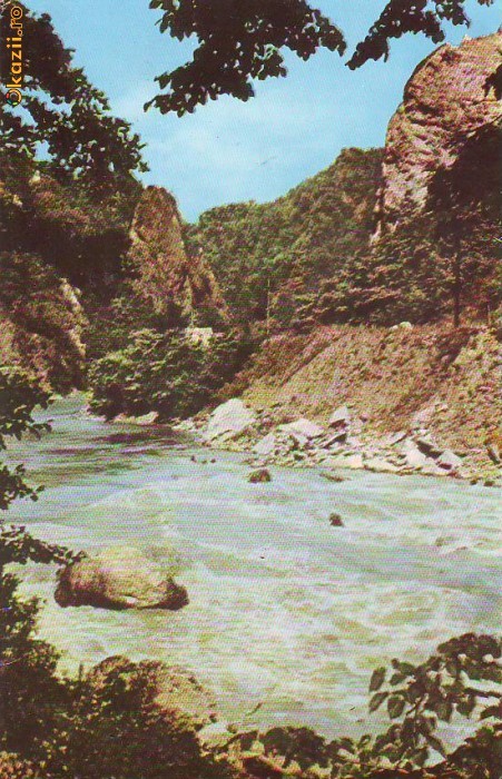 S 6498 Vedere Valea OLTULUI necirculata