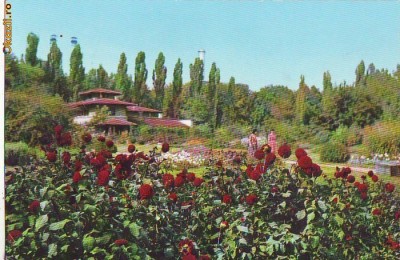 S 6560 BUCURESTI Gradina Botanica circulata foto