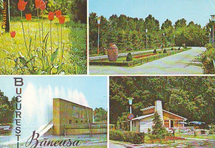 S 6716 BUCURESTI Baneasa aleea principala Circulata