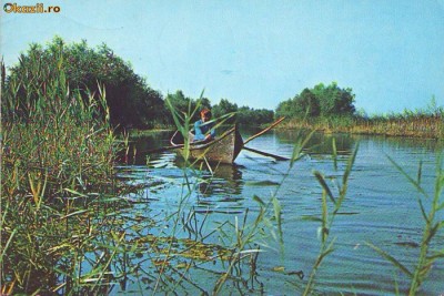 S 3037 DELTA DUNARII Canalul Baba Rada circulata foto
