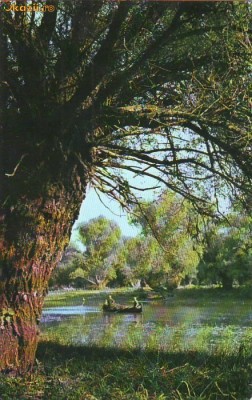 S 3049 DELTA DUNARII Vedere din Delta Dunarii circulata foto