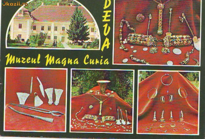 S 3076 Deva Muzeul Magna Curia necirculata foto