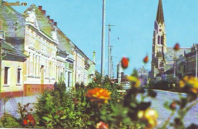 S 3159 VEDERE DIN DETA CIRCULATA foto