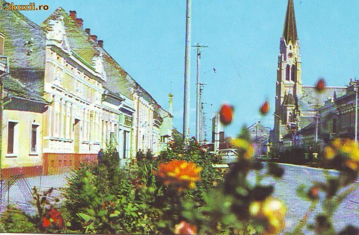 S 3159 VEDERE DIN DETA CIRCULATA