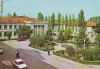 S 3178 orasul Dr.Petru Groza -vedere din centru CIRCULATA
