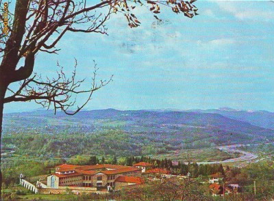 S 3183 MUZEUL DOFTANA CIRCULATA foto