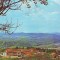 S 3183 MUZEUL DOFTANA CIRCULATA