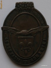 Insigna Cercetasii Romaniei - cu serie foto