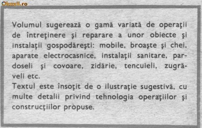 Viorel Raducu - Reparati singuri foto