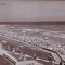 R-7738 VASILE ROAITA Plaja 1961