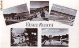R-7737 VASILE ROAITA Necirculat
