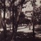 R-7749 VASILE ROAITA Vedere 1957