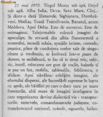 Radu Theodoru - S.O.S. Puhoaiele!...