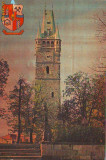 S 2844 BAIA MARE -Turnul Stefan CIRCULATA