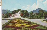 S 2860 BAIA MARE -Monumentul ostasului roman CIRCULATA