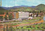 S 2894 BAIA MARE-Hotel Carpati CIRCULATA