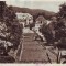 R-7802 GOVORA Parcul 1954
