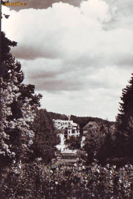R-7811 GOVORA Vedere din parc 1960 foto