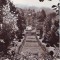 R-7810 GOVORA Vedere din parc 1965