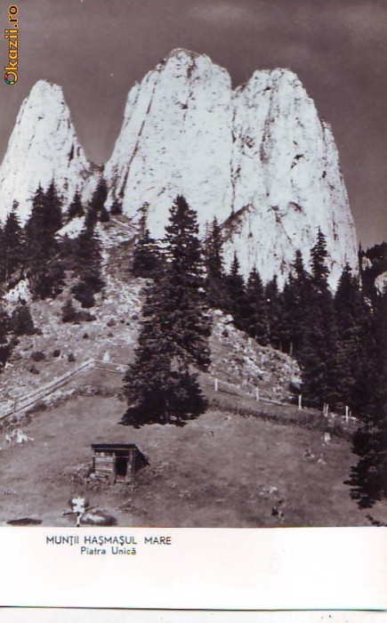 R-7814 MUNTII HASMASUL MARE Piatra Unica NECIRCULAT R-7814 MUNTII HASMASUL MARE Piatra Unica NECIRCULAT