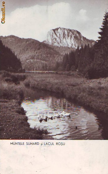 R-7857 LACUL ROSU SI MUNTELE SUHARD , CIRCULAT 1960