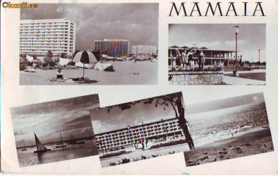 R-7886 MAMAIA, CIRCULAT foto