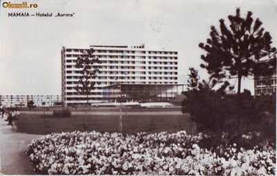 R-7908 MAMAIA - Hotel Aurora, CIRCULAT 1963 foto
