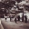 R-7960 OLANESTI - La izvoare, CIRCULAT 1963