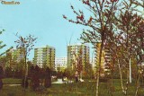 S 6663 BUCURESTI -Drumul Taberei CIRCULATA