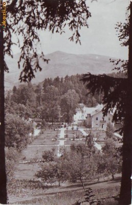 R 8305 SINGEORZ BAI -Vedere din parc CIRCULATA foto