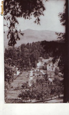 R 8306 SINGEORZ-BAI -vedere din parc CIRCULATA foto