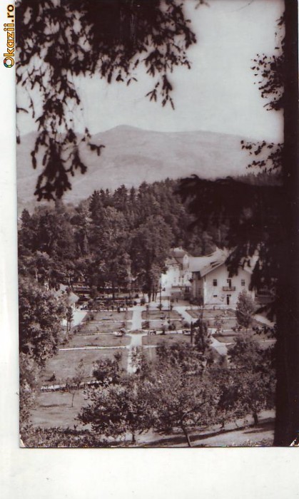 R 8306 SINGEORZ-BAI -vedere din parc CIRCULATA R 8306 SINGEORZ-BAI -vedere din parc CIRCULATA