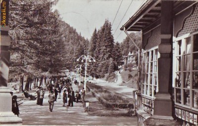 R 8316 SLANIC MOLDOVA -vedere din parc CIRCULATA foto