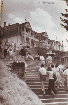 R 8357 SOVATA -vedere CIRCULATA foto