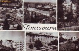 R 8386 TIMISOARA-VEDERE CIRCULATA