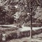 R-7994 ORADEA - Baile ,,Victoria&#039;&#039; Vedere din parc, CIRCULAT